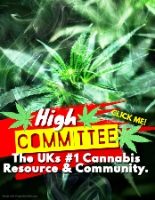 High Committee | UK Cannabis Culture
